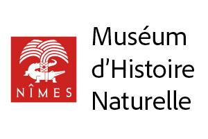 Logo Muséum Histoire Naturelle Nîmes